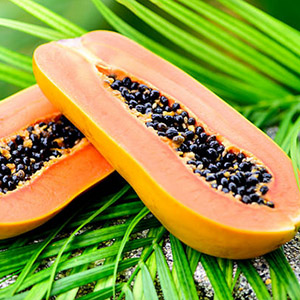 Extracto de Fruta de Papaya (Papaya)